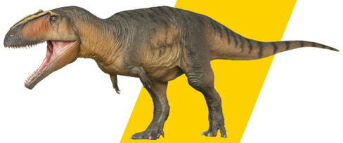 PNSO Giganotosaurus - Lucas - New Model - Manufacturer Picture